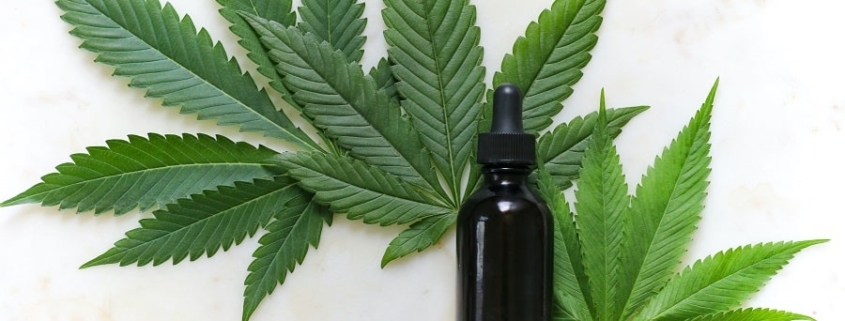 cannabis tinctures