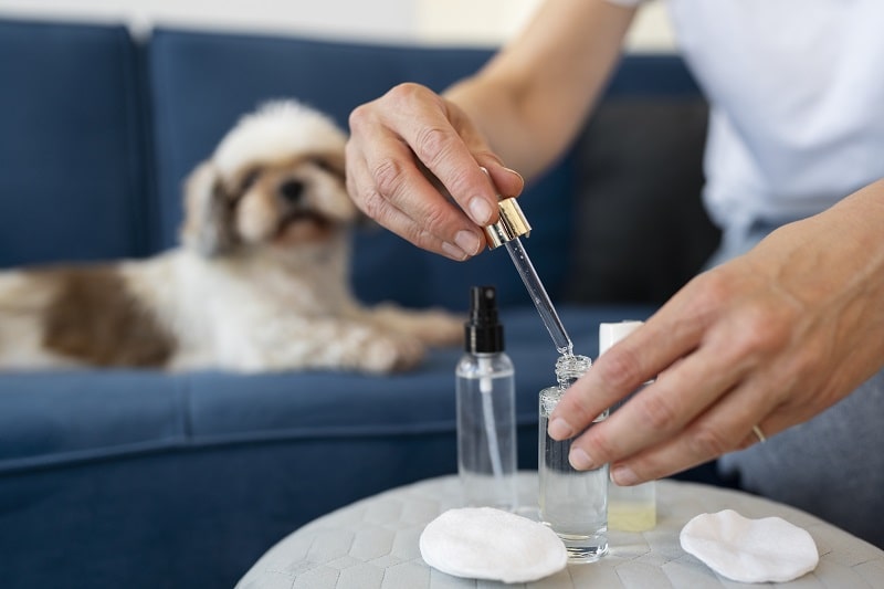 cbd oil for pets 