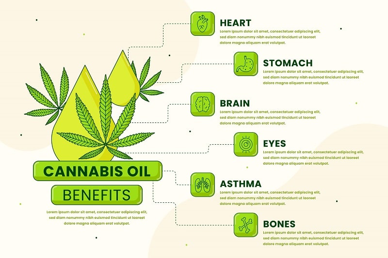 facts about cannabis 