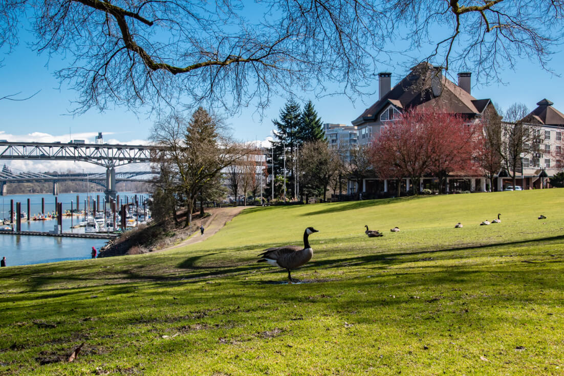 Tom McCall Waterfront Park