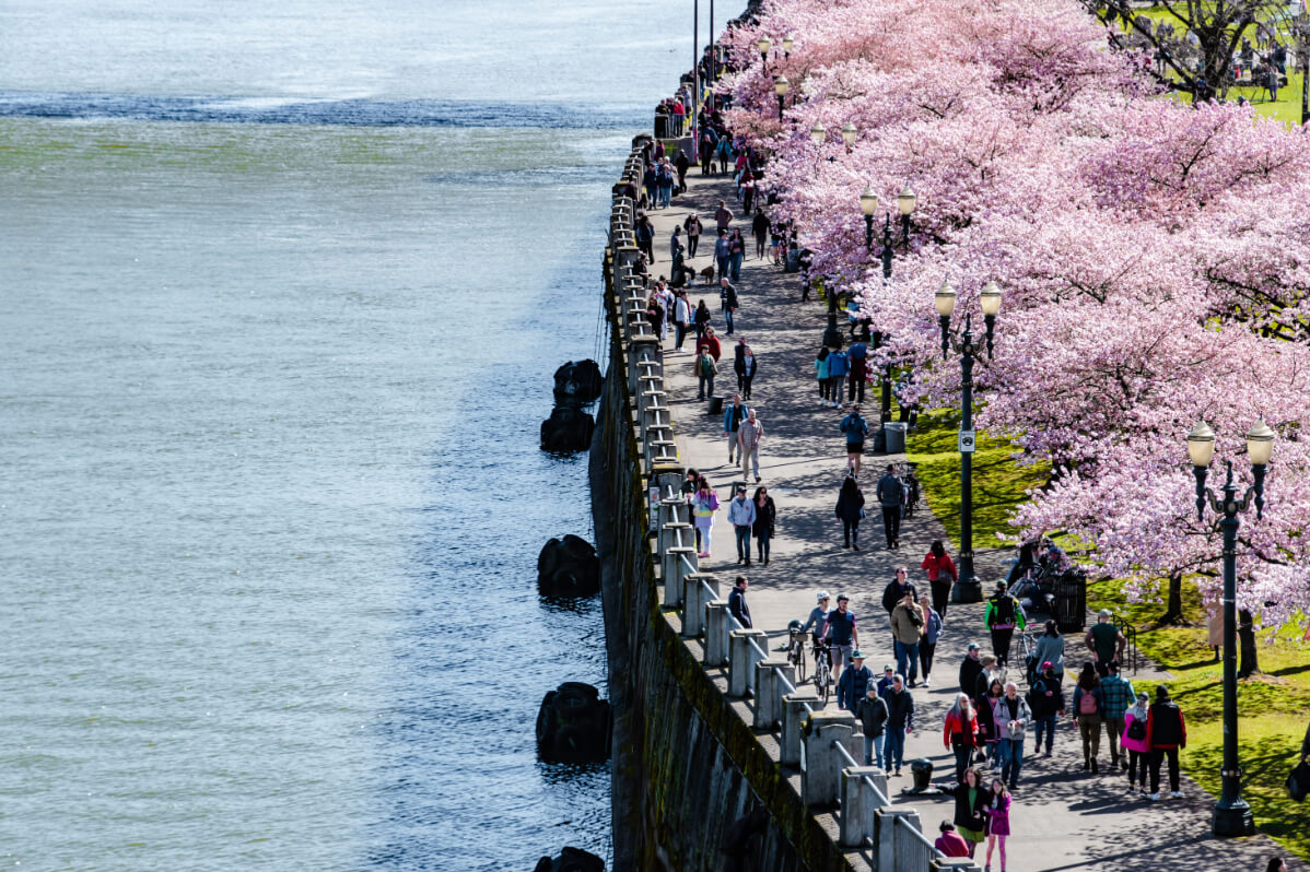 Tom McCall Waterfront Park